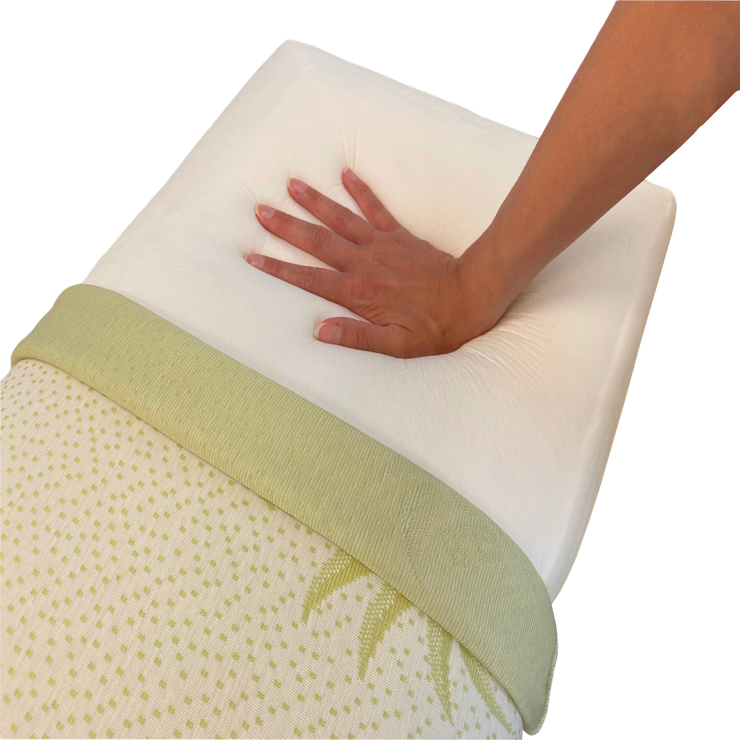 Passion Coppia di Guanciali Memory Foam H11 con Federa in Aloe Vera