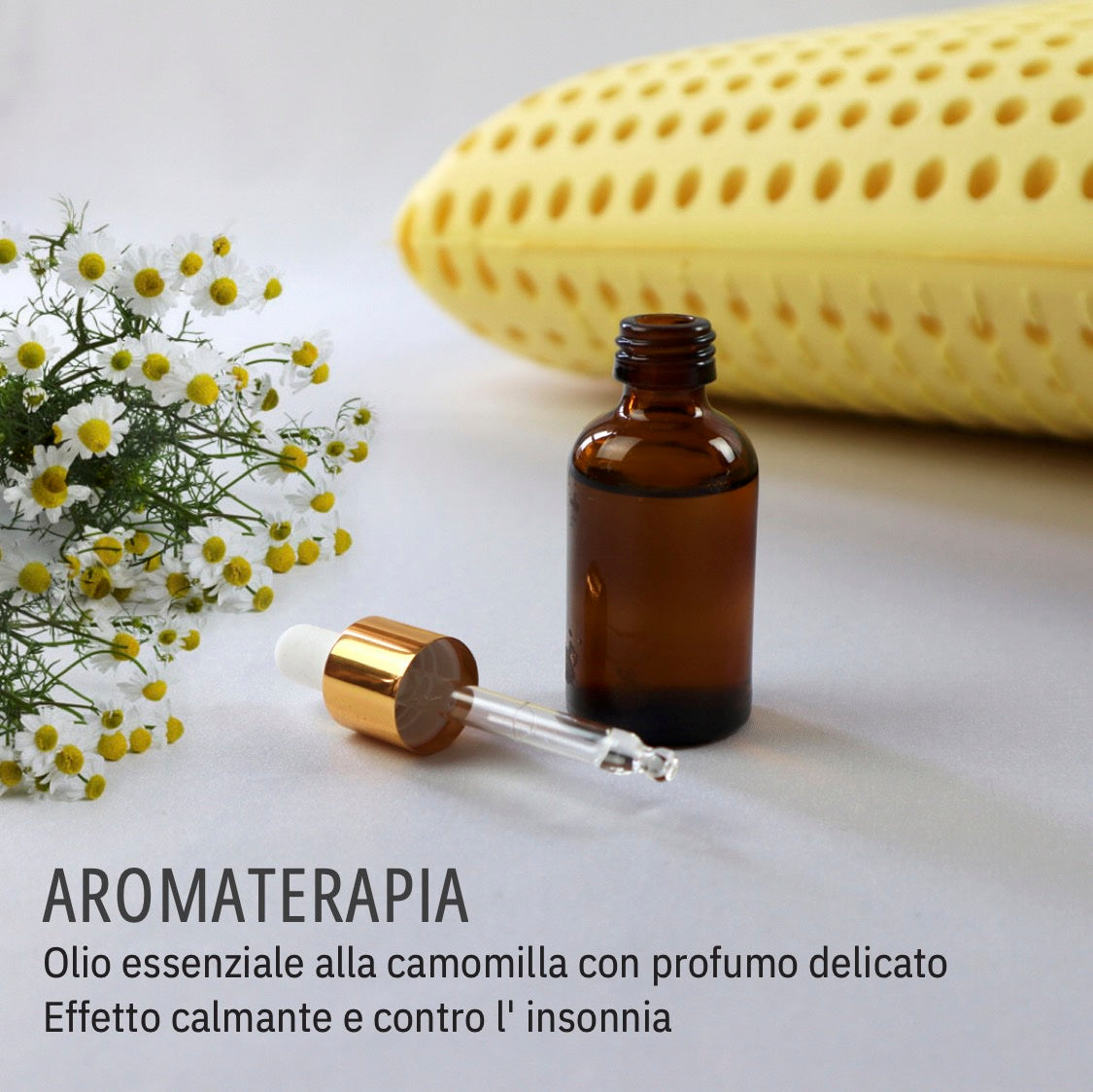 camomilla-2