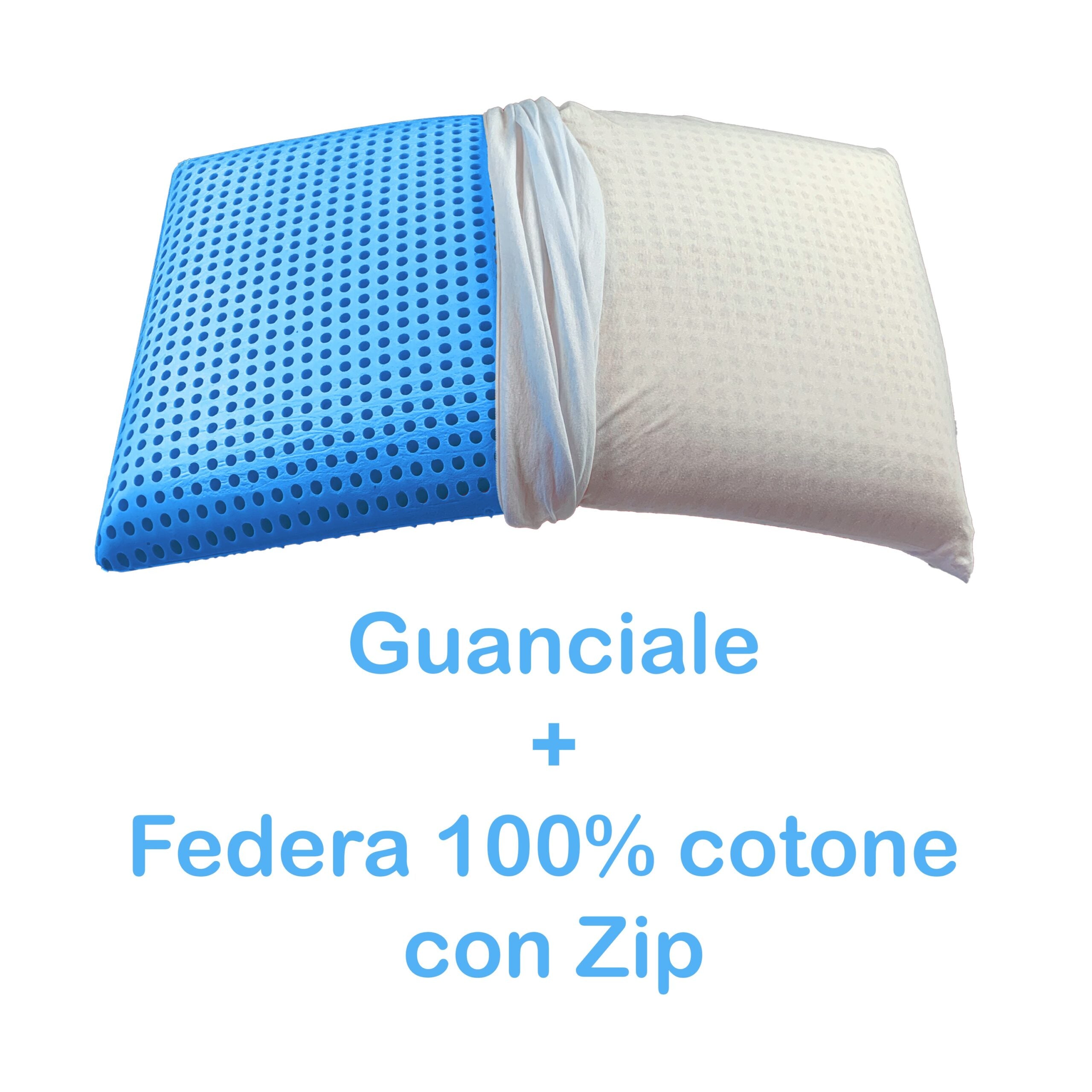 federa-eucalipto